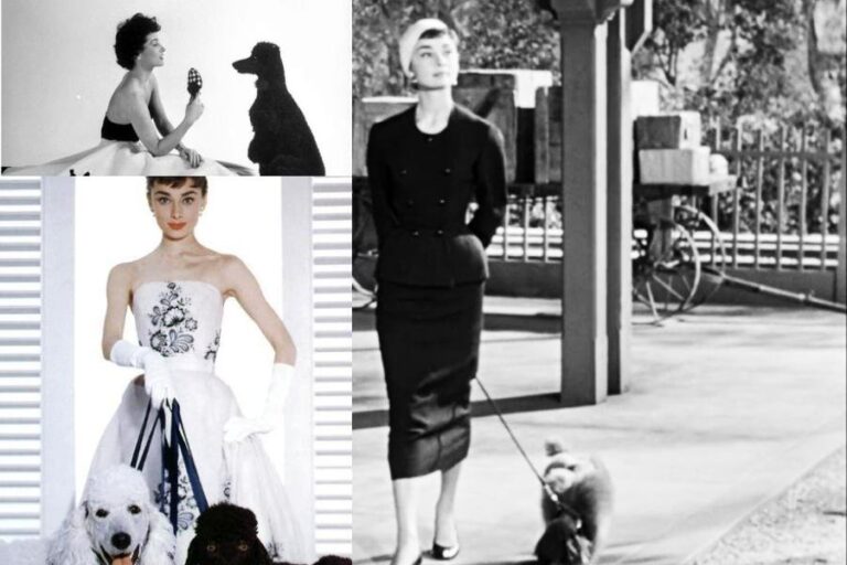 The Ultimate Guide to Poodle Skirts in the 1950s