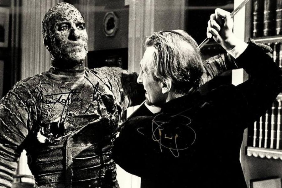 Image from the 1950s movies "The Mummy"