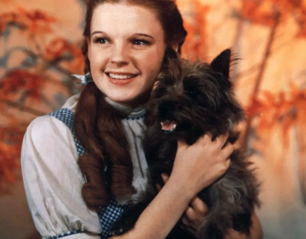 Image of Judy Garland from "Wizard of Oz"